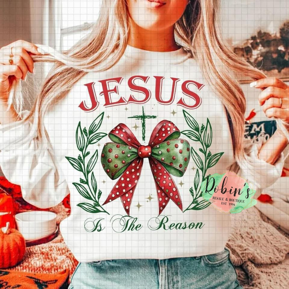 Jesus is the reason…. Softstyle Tee or Sweatshirt